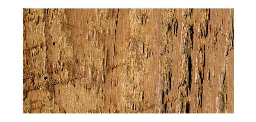 Wood surface image